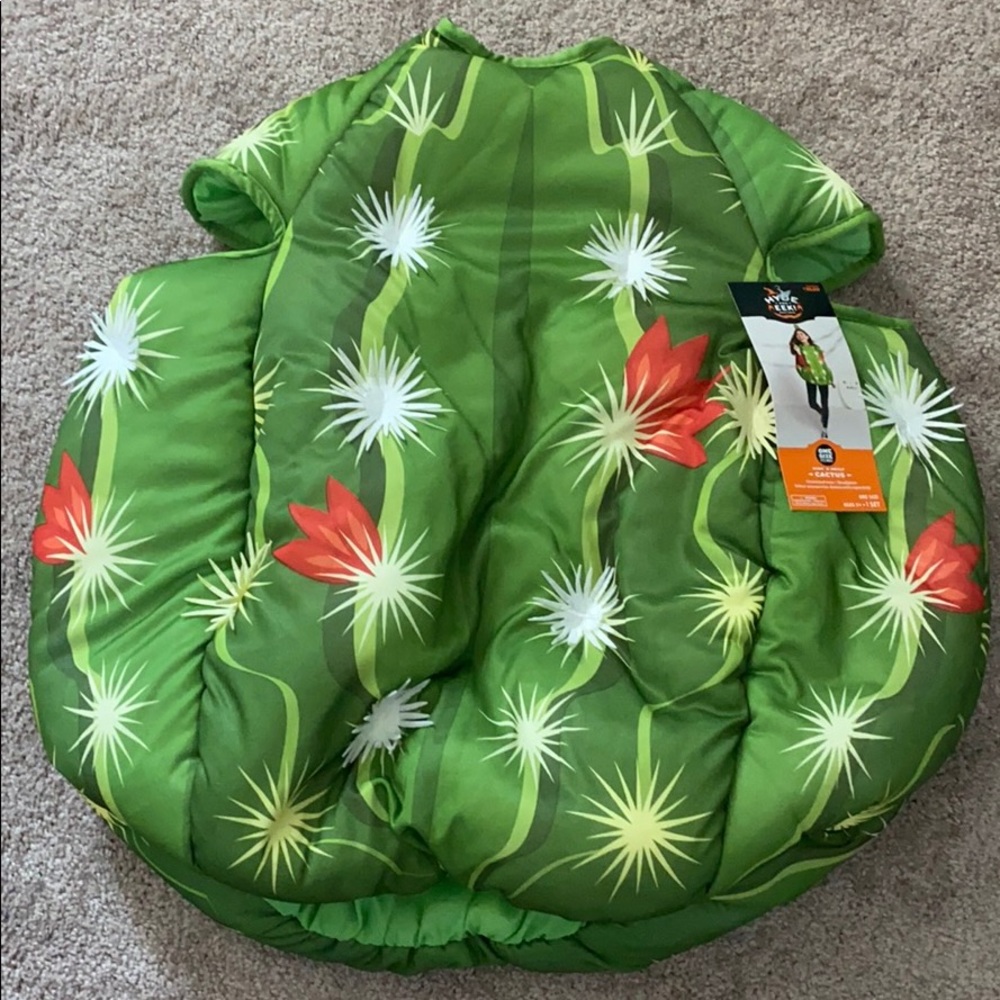 Cactus Costume